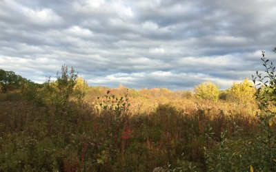 Winnicut River Walk, Greenland, New Hampshire