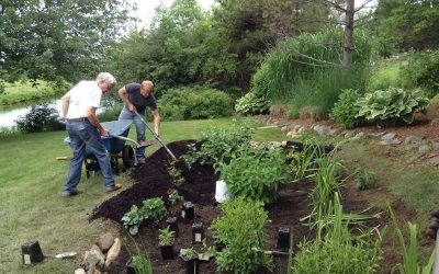 Soaking up the Rain in Great Bay