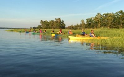 Annual Achievements 2016 – 2017