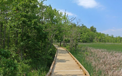 Annual Achievements 2017 – 2018