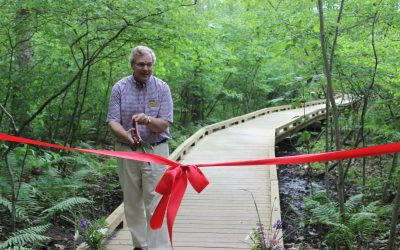 The Stewards Add Two New Trustees