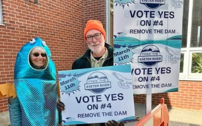 A Success for the Changemakers Program: The Pickpocket Dam