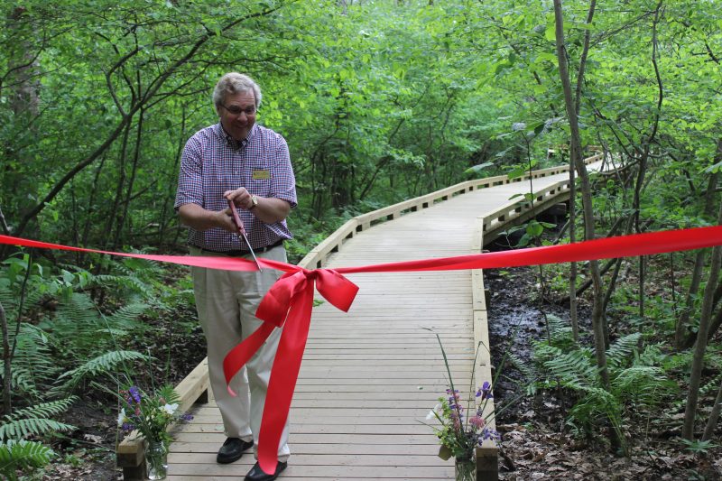 Thirty Years, Thirty of our Biggest Accomplishments!